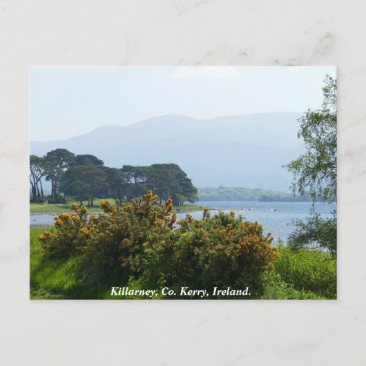 Killarney Seeufer, Landkreis Kerry, Irland Postkarte (Vorderseite)