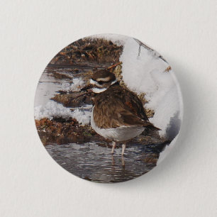 Killdeer-Abzeichen Button
