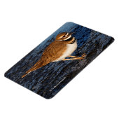 Killdeer auf den Icy Mudflats Magnet (Linke Seite)