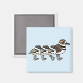 Killdeer & drei Küken Magnet (Vorderseite/Rückseite)
