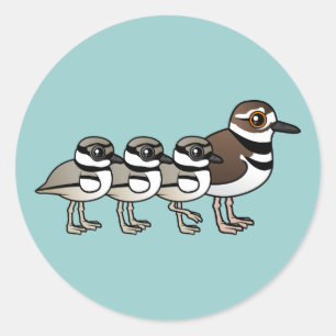 Killdeer & drei Küken Runder Aufkleber