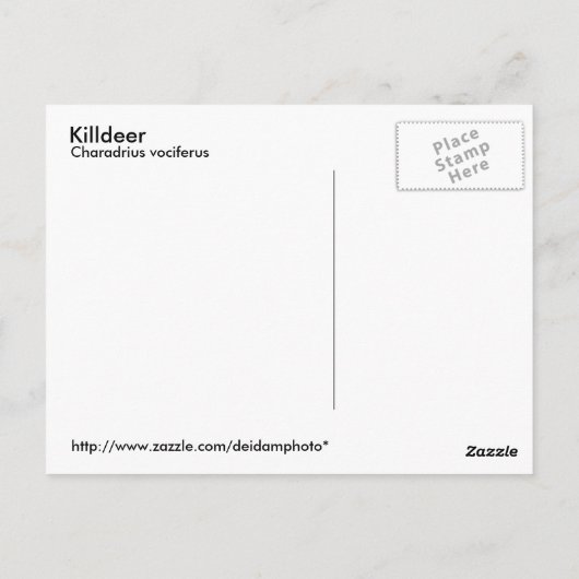 Killdeer Postkarte (Rückseite)