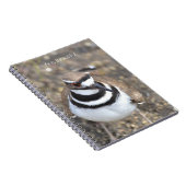 Killdeer-Vogel (meine Fotografie) Notizblock (Rechte Seite)