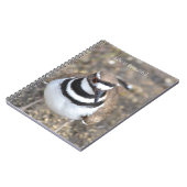 Killdeer-Vogel (meine Fotografie) Notizblock (Linke Seite)