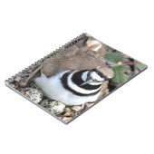 Killdeer-Vogel mit Eiern (meine Fotografie) Notizblock (Linke Seite)