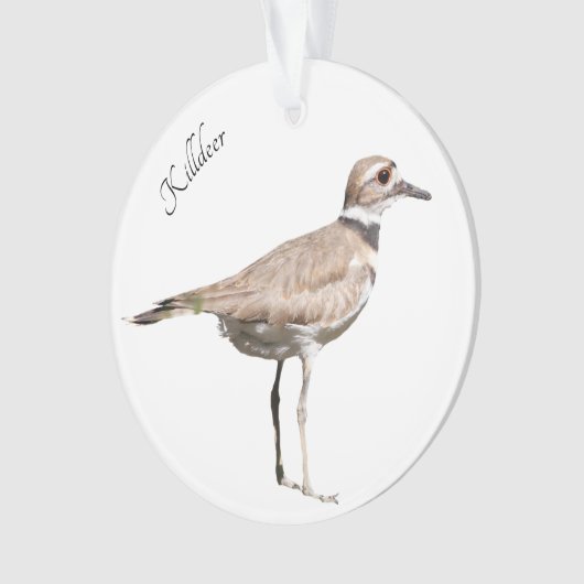 Killdeer-Vogel Ornament (Vorderseite)