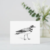 Killdeer-Vogel-Skizze Postkarte (Stehend Vorderseite)