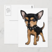 Killer Chihuahua Postkarte (Vorne/Hinten)
