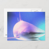 Killer Shark Postcard Postkarte (Vorne/Hinten)
