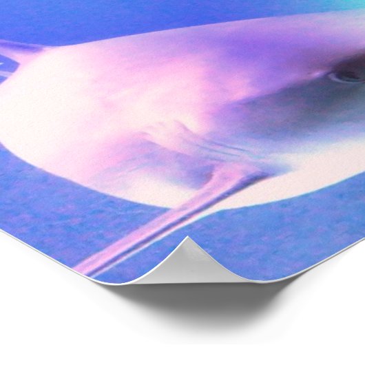 Killer Shark Print Poster (Ecke)