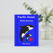 Killer Wales Postkarte (Stehend Vorderseite)