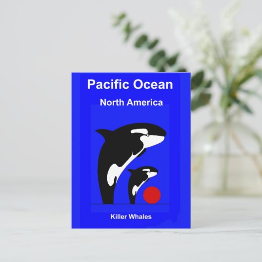 Killer Wales Postkarte (Stehend Vorderseite)