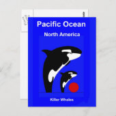 Killer Wales Postkarte (Vorne/Hinten)