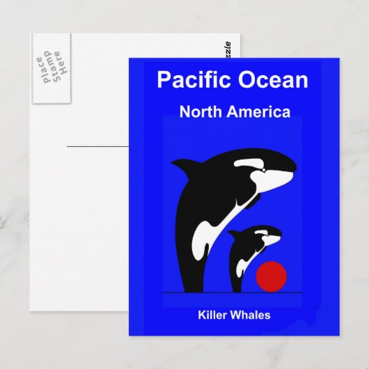 Killer Wales Postkarte (Vorne/Hinten)