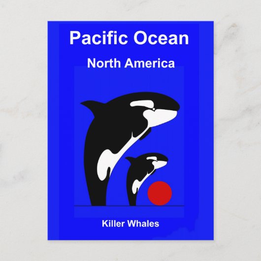 Killer Wales Postkarte (Vorderseite)