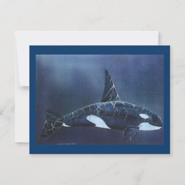 Killer Whale (Vorderseite)