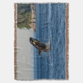 Killer Whale Breaching out of Ocean Water Decke (Vorderseite Vertikal)