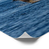 Killer Whale Breaching out of Ocean Water Poster (Ecke)