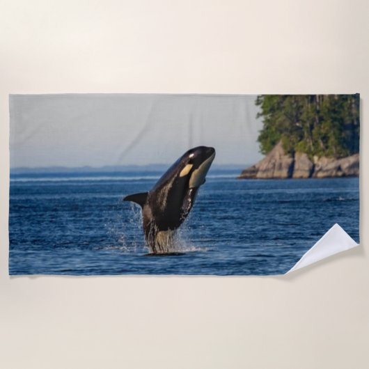 Killer Whale Breaching out of Ocean Water Strandtuch (Vorderseite)
