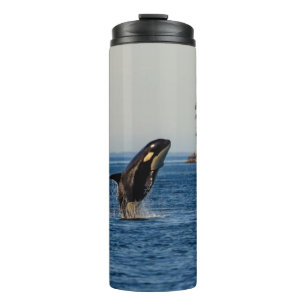 Killer Whale Breaching out of Ocean Water Thermosbecher