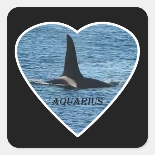 Killer Whale Fin "Aquarius" Quadratischer Aufkleber (Vorderseite)