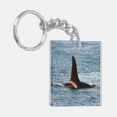 Killer Whale Fin "Aquarius" Schlüsselanhänger (Vorderseite links)