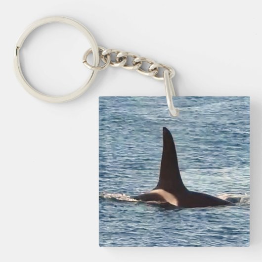Killer Whale Fin "Aquarius" Schlüsselanhänger (Vorderseite)