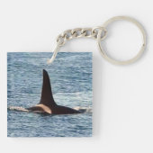 Killer Whale Fin "Aquarius" Schlüsselanhänger (Rückseite)