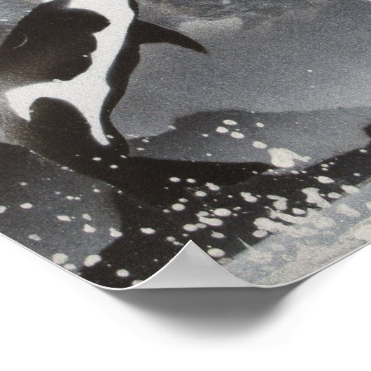 Killer Whale Gerahmt Poster (Ecke)