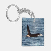 Killer Whale "John Coe" & "Aquarius" Orca Schlüsselanhänger (Vorderseite links)