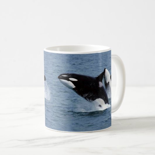 Killer whale kaffeetasse (VorderseiteRechts)