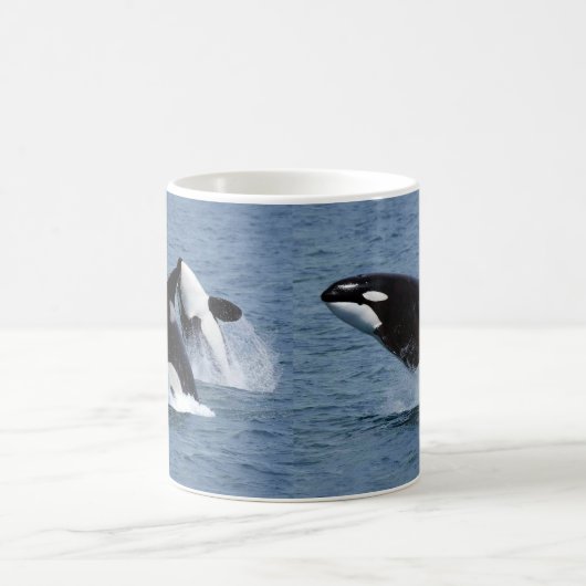 Killer whale kaffeetasse (Mittel)