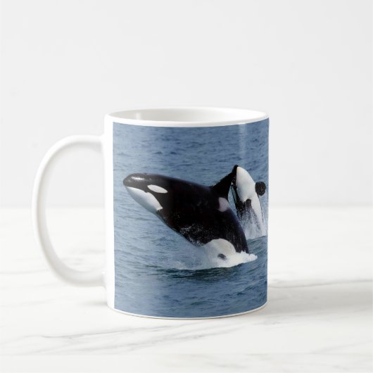 Killer whale kaffeetasse (Links)