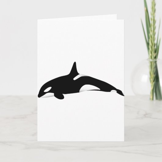 Killer Whale Karte (Vorderseite)