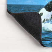 Killer Whale Mousepad (Ecke)