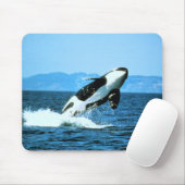 Killer Whale Mousepad (Mit Mouse)