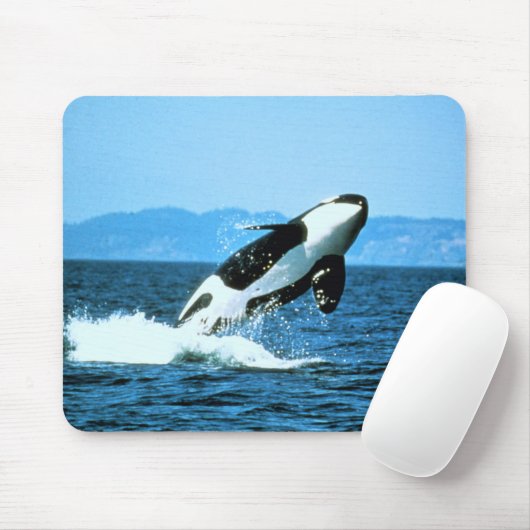Killer Whale Mousepad (Mit Mouse)