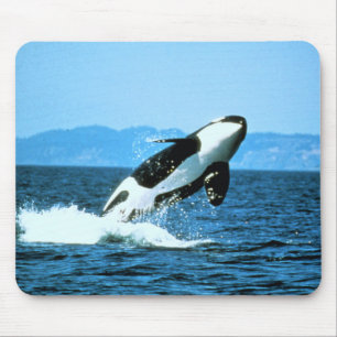 Killer Whale Mousepad