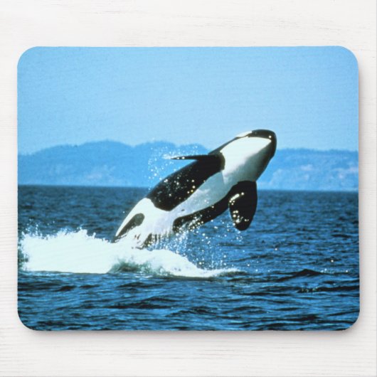 Killer Whale Mousepad (Vorne)