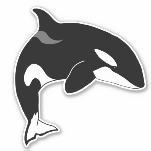 Killer Whale Orca Aufkleber (Vorderseite)