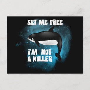 Killer Whale - Orca Postkarte