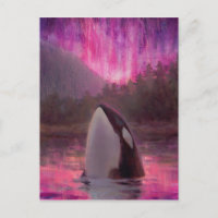 Killer Whale Orca und Pink/Magenta Northern Lights