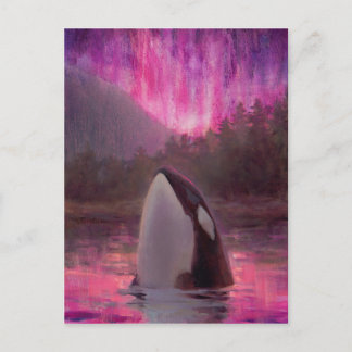 Killer Whale Orca und Pink/Magenta Northern Lights Postkarte