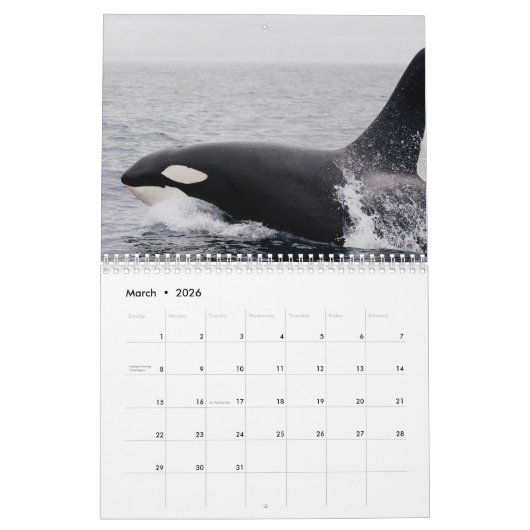 Killer Whale Orcas 2025 Kalender (Mär 2026)