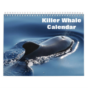 Killer Whale Orcas 2025 Kalender