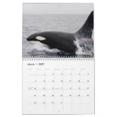 Killer Whale Orcas 2025 Kalender (Mär 2027)