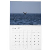 Killer Whale Orcas 2025 Kalender (Jan 2027)