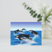Killer Whale Pod Postkarte (Stehend Vorderseite)