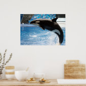 Killer Whale Poster (Küche)