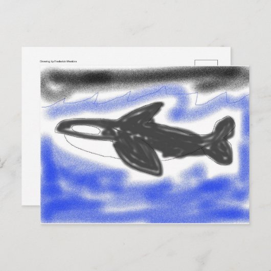 Killer Whale Postkarte (Vorne/Hinten)